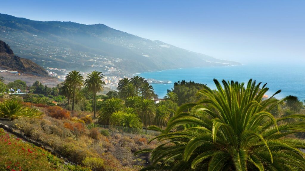 ayudas para placas solares en La Palma