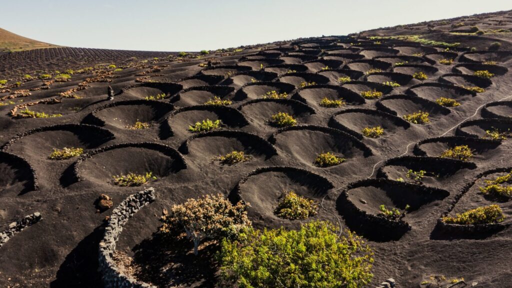 Empresa de instalación de placas solares en Lanzarote: Cómo elegir a los mejores profesionales en 2026